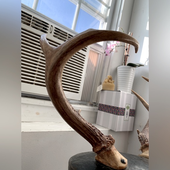 Antlered High Carbon Iron Helmet Handcrafted Real Three Point Buck Antlers - Picture 2 of 3